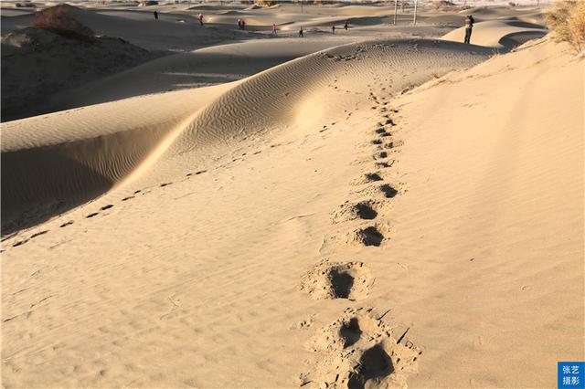 南北贯穿被称为“死亡之海”的塔克拉玛干沙漠