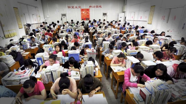 中国的教育公平本质是维稳