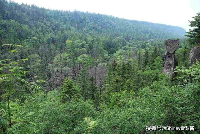 中国最严格的森林 所有物品禁止挪动