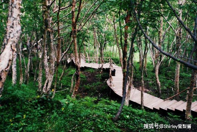 中国最严格的森林 所有物品禁止挪动