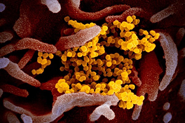 权威期刊：科学家对新冠病毒症状持续感困惑
