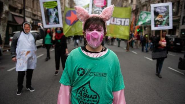 中共在阿根廷大规模养猪引来抗议