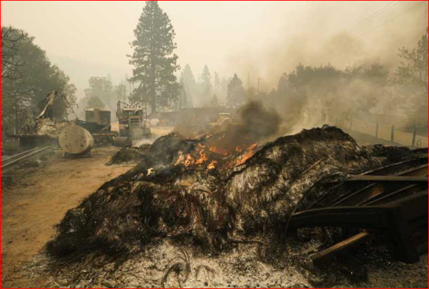 加州野火已焚230万亩地 23县17万户停电