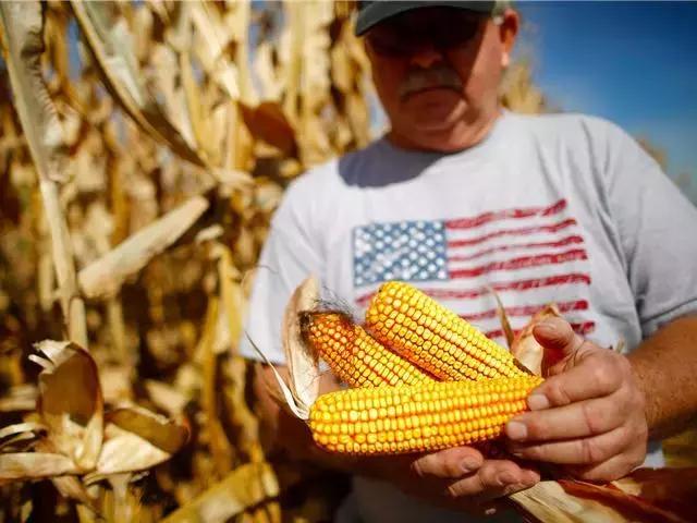 中国再狂买美国农产品 坐实“粮食危机”？