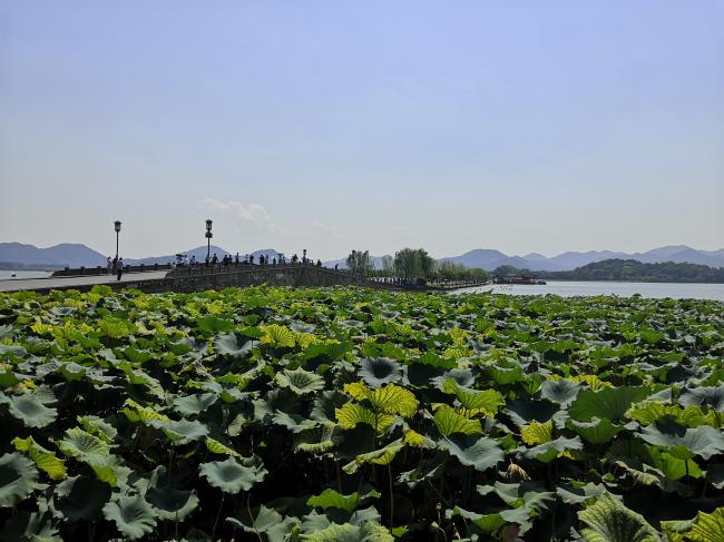 霸占杭州60%的美景 这个地方被誉为“人间天堂”