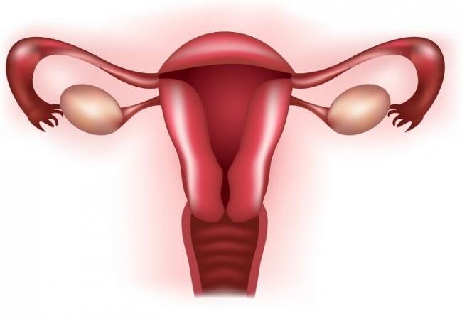 越来越多女性得卵巢囊肿？离不开这4个病因