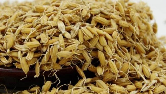 网传粮食公司通知 大米减产30% 粮价将大幅增长