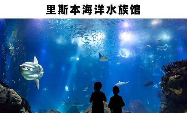 世界上存在着的11个巨大而神奇的水族馆