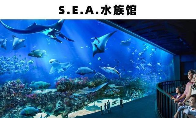 世界上存在着的11个巨大而神奇的水族馆