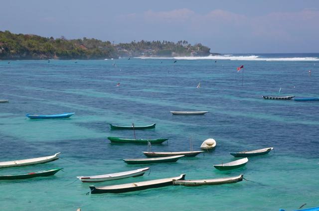 曾经天堂巴厘岛 如今海藻大农场