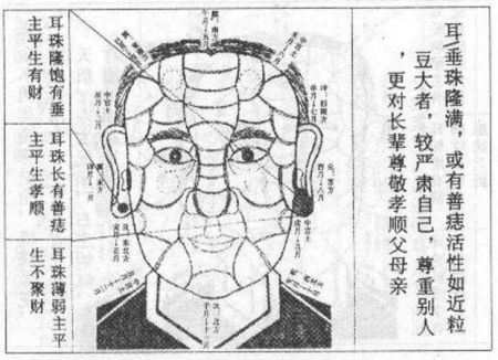 中国人的耳朵到底多大 才能有福气？