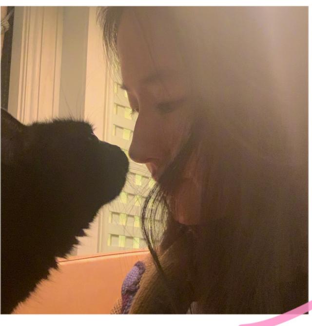 刘亦菲开心与猫自拍 鼻梁高耸侧脸太美