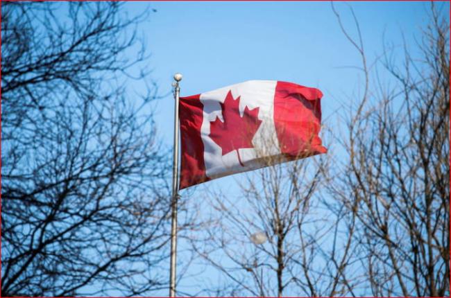 跟进英国！加拿大禁止进口新疆强迫劳动商品