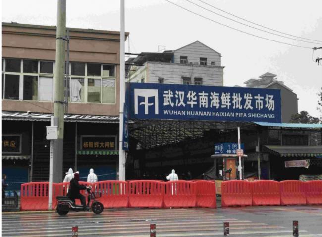 世卫官员呼吁中共让国际专家在武汉自由访问