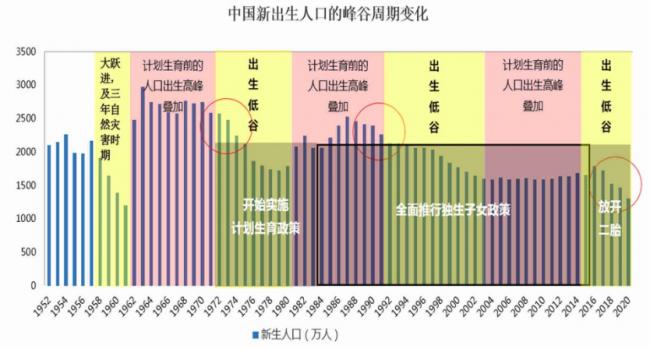 中国新生人口暴跌真相到底是什么