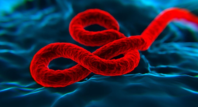 几内亚和刚果证实再次爆发埃博拉病毒