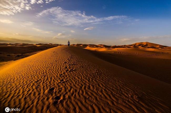 地球上最不适合生物生存的地方之一—撒哈拉沙漠