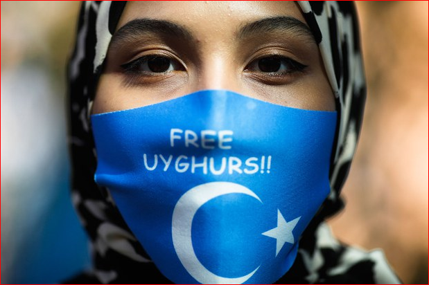 欧洲第一国 荷兰认定新疆维吾尔遭种族灭绝