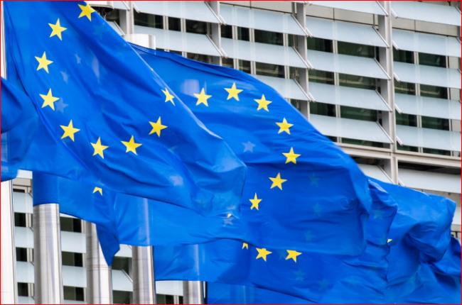 欧洲议会逾7成议员表态反对中欧投资协定