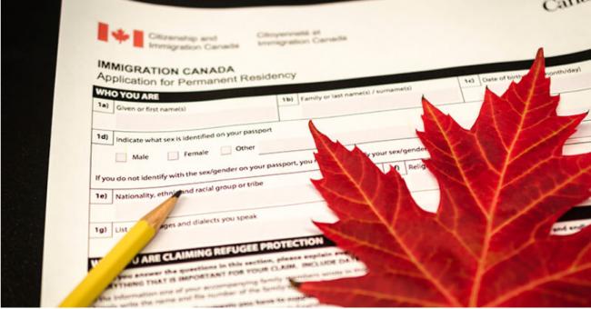 仅仅三周 超500名香港人申请加拿大特别签证