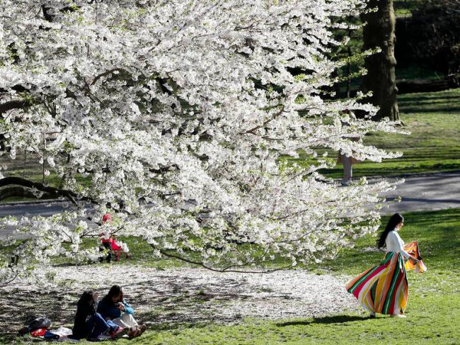 美国纽约中央公园春色满园 游人众多