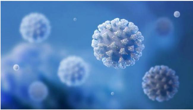 新研究：新冠病毒可整合到人类基因组中？