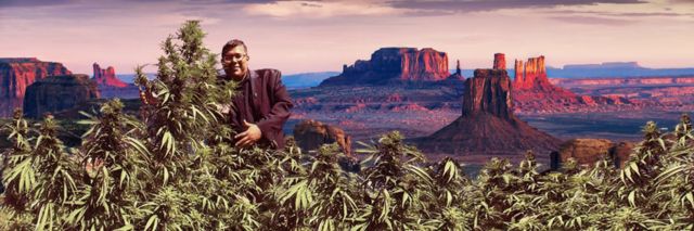 Dineh Binally, the former San Juan Tribal Farm Board president, poses with cannabis plants in a photo
