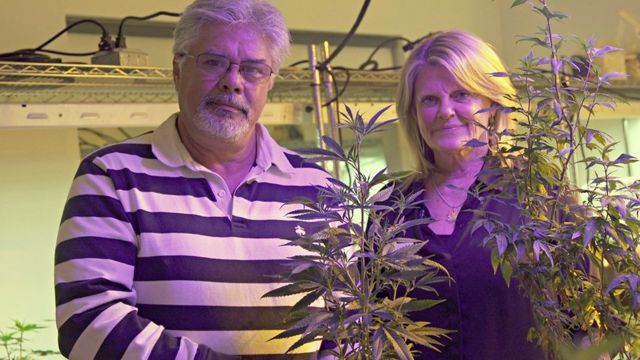 Jayne and Vic Grossom pose in their marijuana plant display room