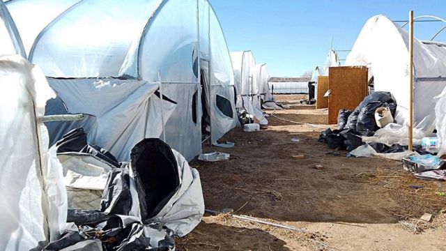 Abandoned hoop houses at one cannabis farm in Shiprock, New Mexico