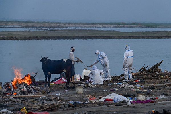 印度恒河惊现数十尸体冲上岸 疑染疫亡者