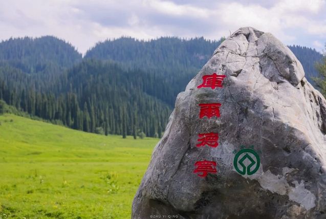 新疆有片国内最大原始云杉林 被誉为人间仙境