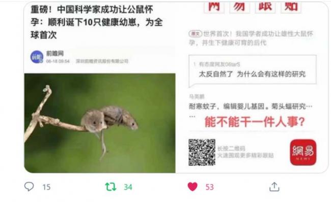 中共科学家让公鼠怀孕产子 网批“不干人事”