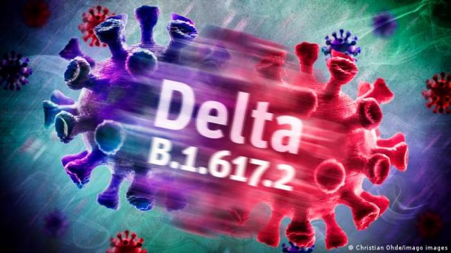 CDC主任：Delta可能很快成为美国主要变种病毒