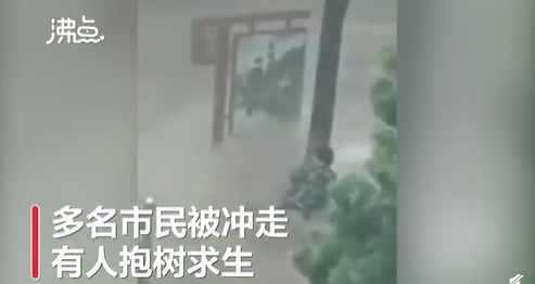 北京遭遇30年来最大暴雨 车被冲走 民众抱树求生