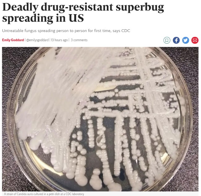 美CDC证实医疗机构爆“超级真菌”传播 已致3死