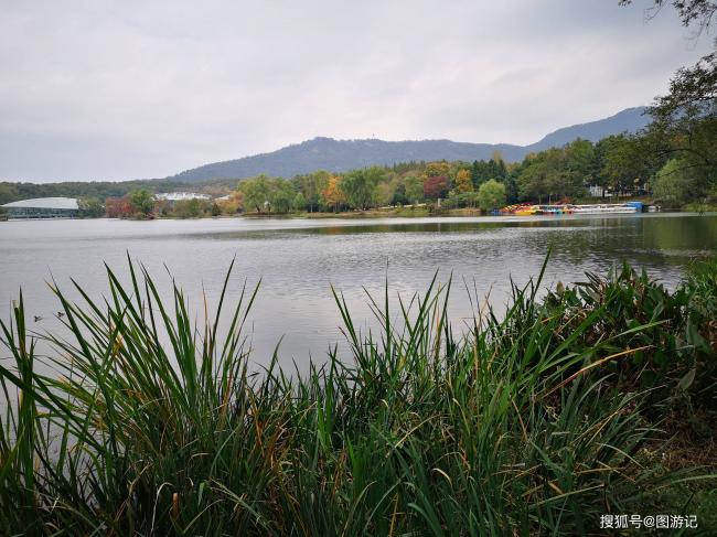 南京这个小众湖泊很美 秋天就是一幅油画