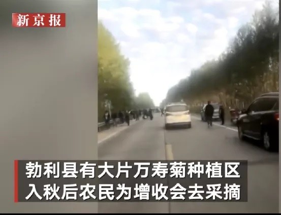 黑龙江特大车祸15人遇难，死者身份让人泪崩