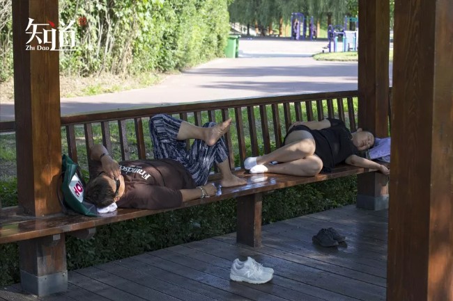 为什么只有中国人爱午睡？是否有益健康