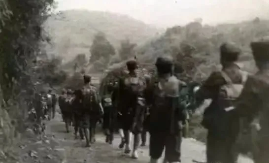 看了《长津湖》想起越战中集体投降的中国军人