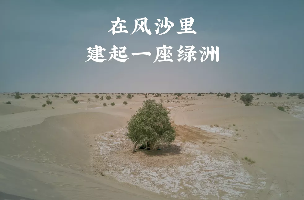 中国唯一嵌入沙漠的县城，早该火了