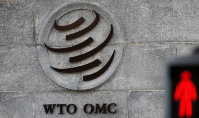 WTO审议对华贸易政策前夕 戴琪再批北京