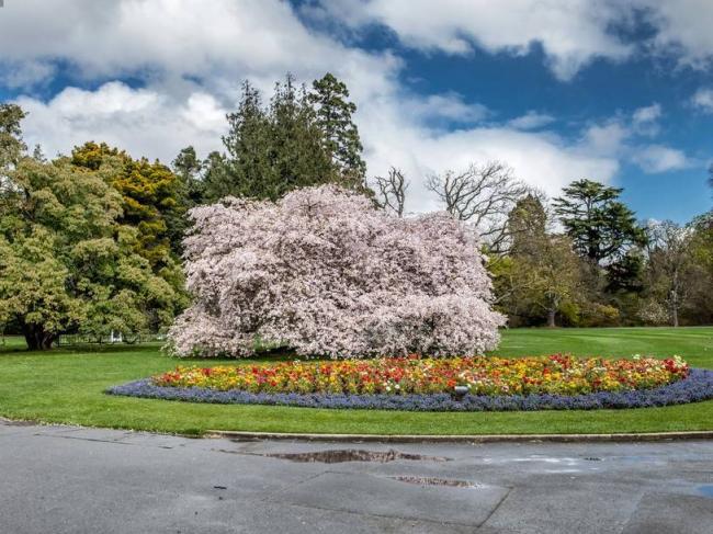 英式园林风光：新西兰基督城植物园