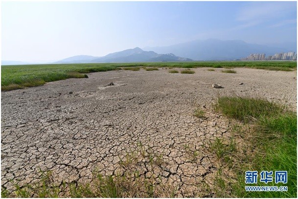 本月再次湖底朝天：鄱阳湖干涸原因与三峡工程