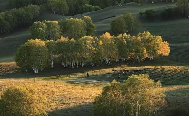 乌兰布统东沟 草原上的摄影天堂