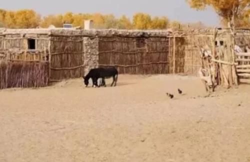 中国最“神秘”的村子 隐藏在沙漠中400多年