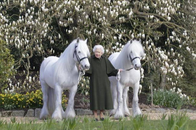 英女王96岁生日当天 拍了这张合影