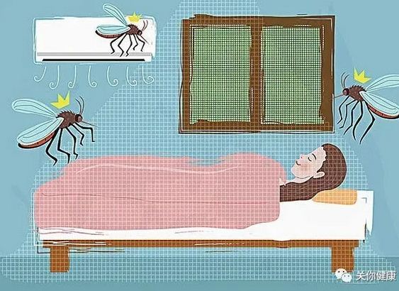 哪些人的气味招蚊子？科学家终于找到答案