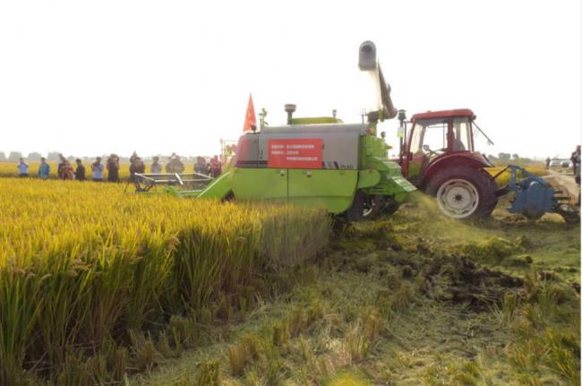 中国砸千亿全球搜刮粮食 4月稻米进口暴增近3成
