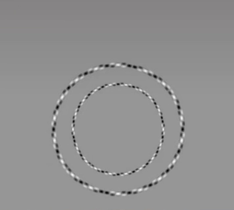 這兩個圓圈其實是正圓。翻攝自TikTok＠hecticnick