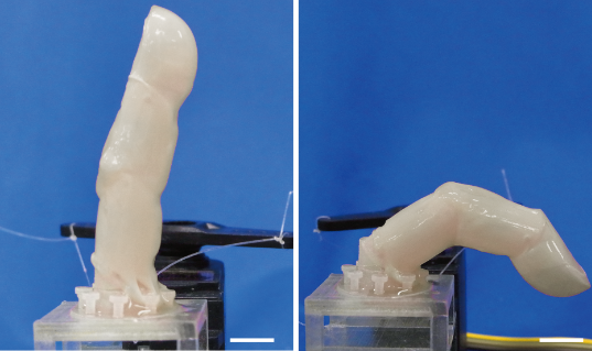 日本东大研製“活体皮肤”  机器人可自我修复